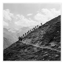 Poster A hiking group in the Swiss mountains