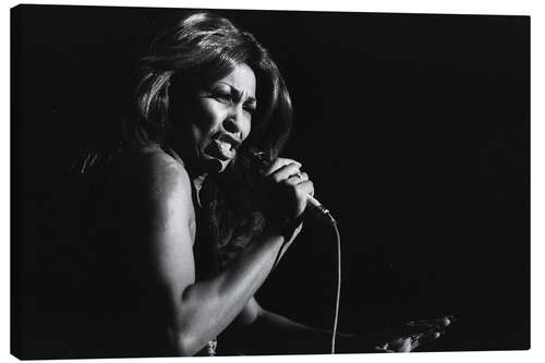 Quadro em tela Tina Turner sings at the Kongresshaus Zurich, 1975