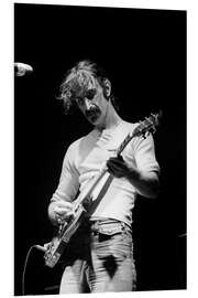 Obraz na PCV Frank Zappa in concert, Switzerland, 1976