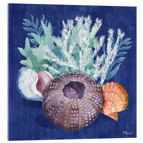 Acrylglasbild Monterey-Seeigel I