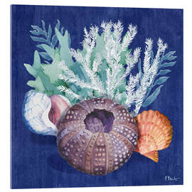 Acrylglasbild Monterey-Seeigel I - Paul Brent
