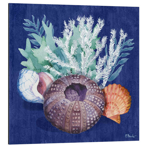 Cuadro de aluminio Monterey Urchin I