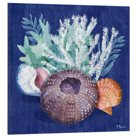 Cuadro de aluminio Monterey Urchin I - Paul Brent