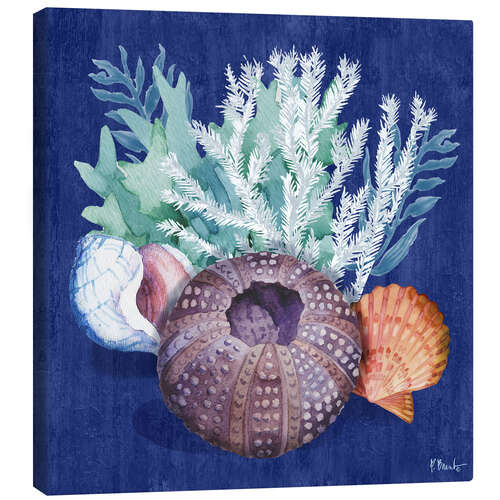 Obraz na płótnie Monterey Urchin I
