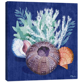 Obraz na płótnie Monterey Urchin I - Paul Brent