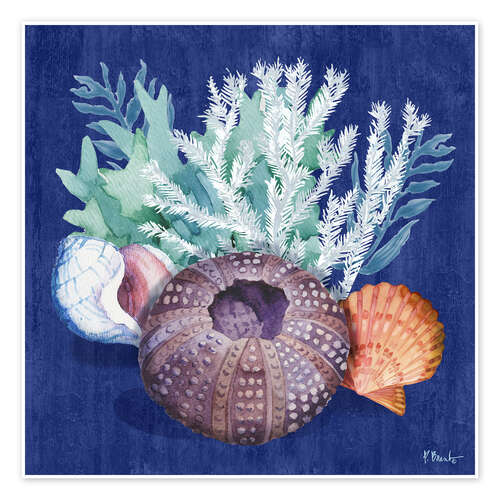 Plakat Monterey Urchin I