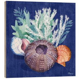Cuadro de madera Monterey Urchin I - Paul Brent