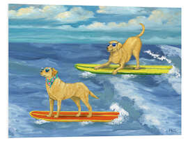 Hartschaumbild Coole Labradore beim Surfen