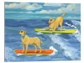 Gallery Print Coole Labradore beim Surfen