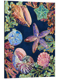 Cuadro de aluminio Spectrum Shells - Paul Brent