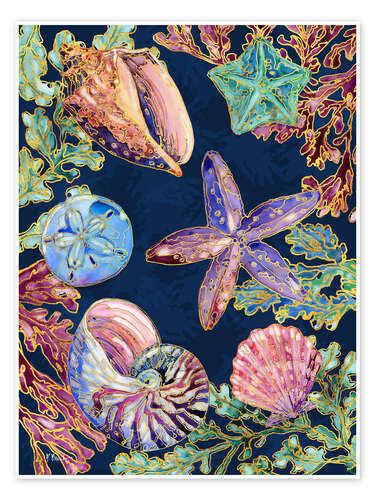 Juliste Spectrum Shells