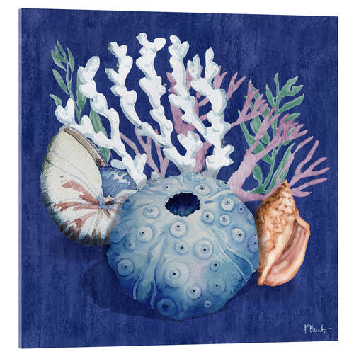 Cuadro de metacrilato Monterey Sea Urchin II