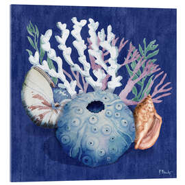 Cuadro de metacrilato Monterey Sea Urchin II - Paul Brent
