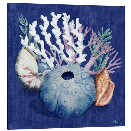 Alubild Monterey-Seeigel II