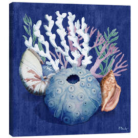 Obraz na płótnie Monterey Sea Urchin II - Paul Brent
