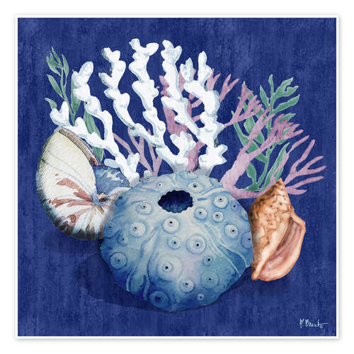 Poster Monterey-Seeigel II