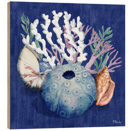 Holzbild Monterey-Seeigel II - Paul Brent