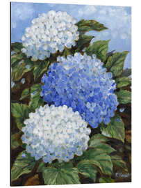 Tableau en aluminium Impressions of Hydrangeas - Paul Brent
