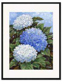 Gerahmter Kunstdruck Impressionen von Hortensien - Paul Brent
