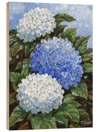 Wood print Impressions of Hydrangeas - Paul Brent
