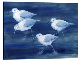 Aluminium print Sandpiper on blue water