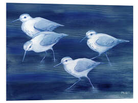 Print på skumplade Sandpiper on blue water