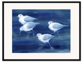 Gerahmter Kunstdruck Flussuferläufer auf blauem Wasser