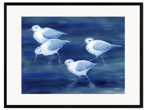 Kunsttryk i ramme Sandpiper on blue water