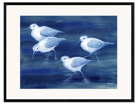 Kunsttryk i ramme Sandpiper on blue water