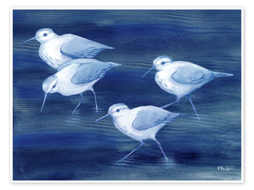 Poster Sandpiper on blue water