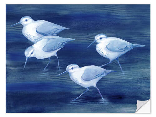 Wall sticker Sandpiper on blue water