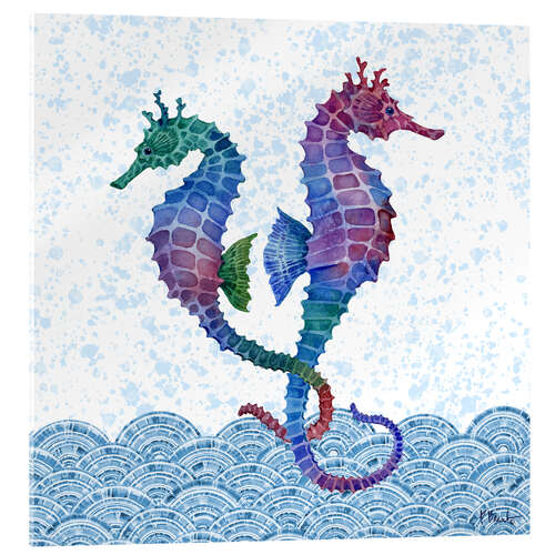 Acrylic print Seahorse