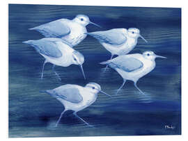 Foam board print Sandpiper on marine blue - Paul Brent