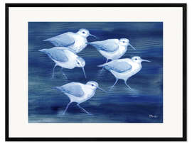 Framed art print Sandpiper on marine blue - Paul Brent