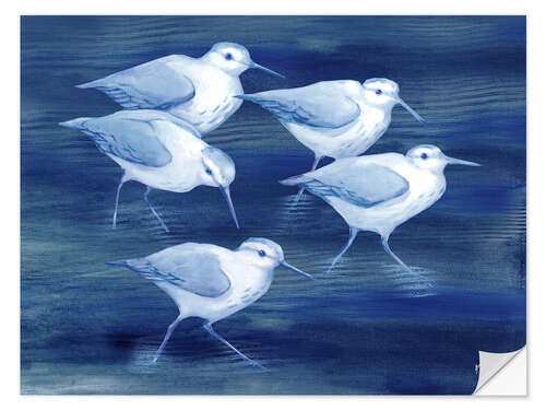 Wall sticker Sandpiper on marine blue