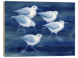 Wood print Sandpiper on marine blue - Paul Brent