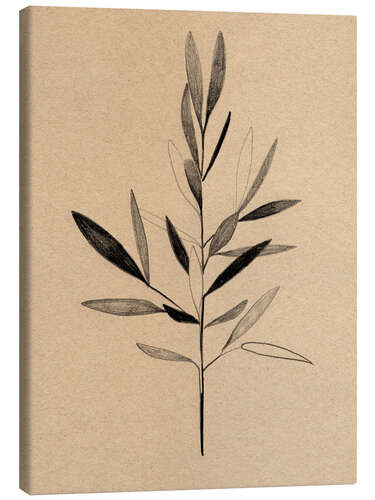 Lerretsbilde Olive