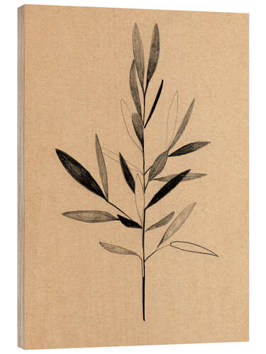 Wood print Olive