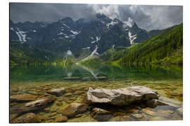 Alumiinitaulu Sea Eye