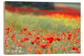 Holzbild Kleines Mohnfeld - Moqui, Daniela Beyer