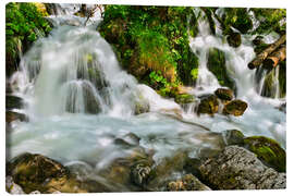 Canvastavla Waterfall - Bernhard Kaiser