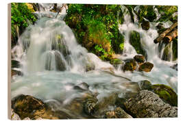 Wood print Waterfall - Bernhard Kaiser