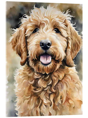 Acrylic print Little Golden Doodle