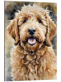 Aluminium print Little Golden Doodle
