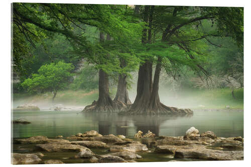 Obraz na szkle akrylowym Fog at the Guadalupe River, Texas, USA