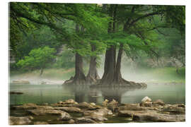 Obraz na szkle akrylowym Fog at the Guadalupe River, Texas, USA - Martin Podt