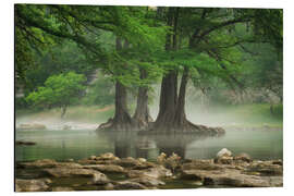 Alubild Nebel am Guadalupe River, Texas, USA - Martin Podt