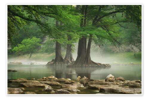 Poster Fog at the Guadalupe River, Texas, USA