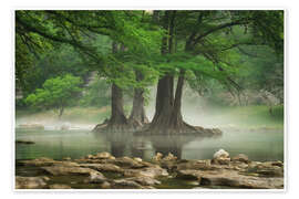 Wandbild Nebel am Guadalupe River, Texas, USA - Martin Podt