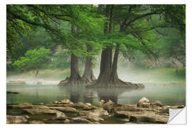 Naklejka na ścianę Fog at the Guadalupe River, Texas, USA - Martin Podt